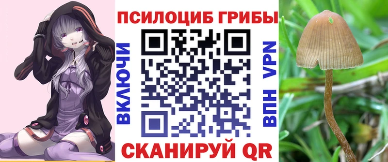 ссылка на мегу зеркало  Спасск  Псилоцибиновые грибы GOLDEN TEACHER 